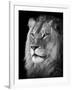 Portrait Of A Lion In Black And White-Reinhold Leitner-Framed Premium Photographic Print