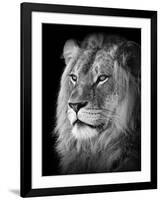 Portrait Of A Lion In Black And White-Reinhold Leitner-Framed Premium Photographic Print
