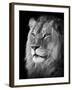 Portrait Of A Lion In Black And White-Reinhold Leitner-Framed Photographic Print