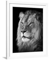 Portrait Of A Lion In Black And White-Reinhold Leitner-Framed Photographic Print