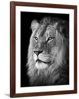 Portrait Of A Lion In Black And White-Reinhold Leitner-Framed Photographic Print