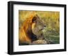 Portrait of a Lion (Panthera Leo), Okavango Delta, Botswana-Paul Allen-Framed Photographic Print