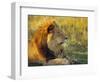 Portrait of a Lion (Panthera Leo), Okavango Delta, Botswana-Paul Allen-Framed Photographic Print