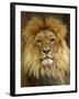 Portrait of a Lion-null-Framed Photo