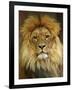 Portrait of a Lion-null-Framed Photo