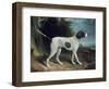 Portrait of a Liver and White Pointer-George Garrard-Framed Giclee Print