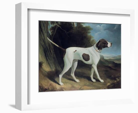 Portrait of a Liver and White Pointer-George Garrard-Framed Giclee Print