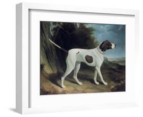 Portrait of a Liver and White Pointer-George Garrard-Framed Giclee Print