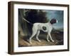 Portrait of a Liver and White Pointer-George Garrard-Framed Giclee Print