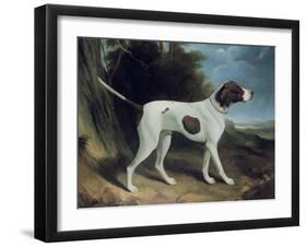 Portrait of a Liver and White Pointer-George Garrard-Framed Giclee Print