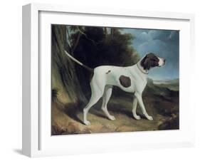 Portrait of a Liver and White Pointer-George Garrard-Framed Giclee Print