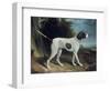 Portrait of a Liver and White Pointer-George Garrard-Framed Premium Giclee Print