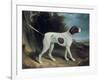 Portrait of a Liver and White Pointer-George Garrard-Framed Giclee Print