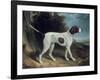 Portrait of a Liver and White Pointer-George Garrard-Framed Giclee Print