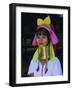 Portrait of a 'Long Necked' Padaung Tribe Woman, Mae Hong Son Province, Thailand, Asia-Gavin Hellier-Framed Photographic Print