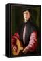 Portrait of a Lute Player, C.1528-1529 (Oil on Wood)-Jacopo Pontormo-Framed Stretched Canvas