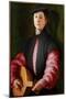 Portrait of a Lute Player, C.1528-1529 (Oil on Wood)-Jacopo Pontormo-Mounted Giclee Print