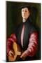 Portrait of a Lute Player, C.1528-1529 (Oil on Wood)-Jacopo Pontormo-Mounted Giclee Print