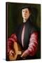 Portrait of a Lute Player, C.1528-1529 (Oil on Wood)-Jacopo Pontormo-Stretched Canvas