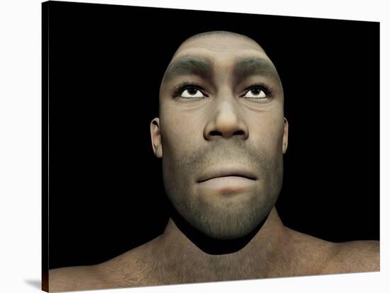 Portrait of a Male Homo Erectus-null-Stretched Canvas
