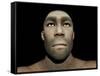 Portrait of a Male Homo Erectus-null-Framed Stretched Canvas