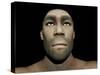 Portrait of a Male Homo Erectus-null-Stretched Canvas