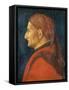 Portrait of a Man, 1450-Andrea Mantegna-Framed Stretched Canvas