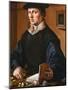 Portrait of a Man, 1529-Maarten Jacobsz van Heemskerck-Mounted Giclee Print