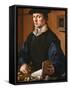 Portrait of a Man, 1529-Maarten Jacobsz van Heemskerck-Framed Stretched Canvas