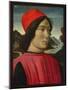 Portrait of a Man, C.1490-Domenico Ghirlandaio-Mounted Premium Giclee Print