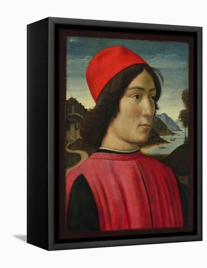 Portrait of a Man, C.1490-Domenico Ghirlandaio-Framed Stretched Canvas