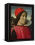 Portrait of a Man, C.1490-Domenico Ghirlandaio-Framed Stretched Canvas