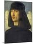 Portrait of a Man, C. 1490-Giovanni Bellini-Mounted Giclee Print