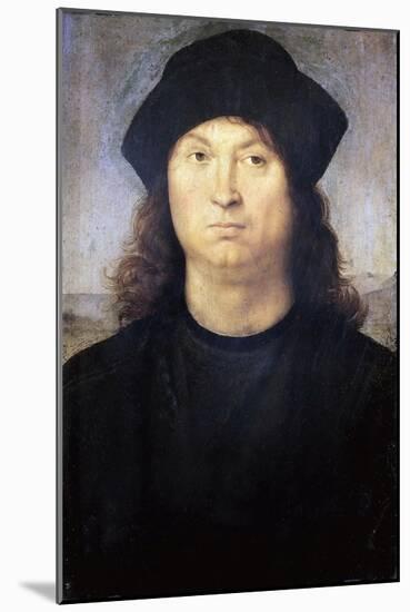 Portrait of a Man, C.1502-04 (Oil on Wood)-Raphael (1483-1520)-Mounted Giclee Print