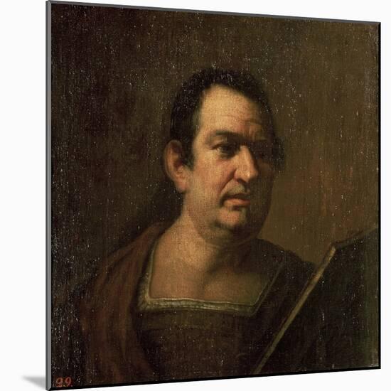 Portrait of a Man, C.17th Century-Luca Giordano-Mounted Giclee Print