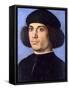 Portrait of a Man, Early16th C-Andrea Previtali-Framed Stretched Canvas