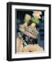 Portrait of a Man in Costume and Facial Paint, Mardi Gras, Dinagyang, Island of Panay, Philippines-Alain Evrard-Framed Photographic Print