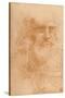 'Portrait of a Man in Red Chalk', c1512, (1932)-Leonardo Da Vinci-Stretched Canvas
