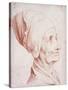 Portrait of a Man Said to Be Voltaire, Small Bust-Length, in Profile-Daniel Chodowiecki-Stretched Canvas