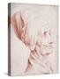 Portrait of a Man Said to Be Voltaire, Small Bust-Length, in Profile-Daniel Chodowiecki-Stretched Canvas