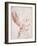 Portrait of a Man Said to Be Voltaire, Small Bust-Length, in Profile-Daniel Nikolaus Chodowiecki-Framed Giclee Print