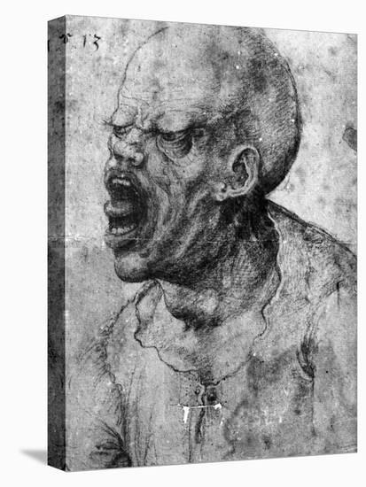 Portrait of a Man Shouting-Leonardo da Vinci-Stretched Canvas