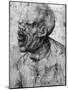 Portrait of a Man Shouting-Leonardo da Vinci-Mounted Photographic Print
