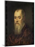 Portrait of a Man with a Red Cloak, 1555-80-Jacopo Robusti Tintoretto-Mounted Giclee Print