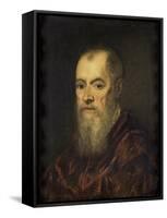 Portrait of a Man with a Red Cloak-Jacopo Tintoretto-Framed Stretched Canvas