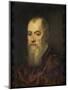 Portrait of a Man with a Red Cloak-Jacopo Tintoretto-Mounted Art Print