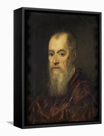 Portrait of a Man with a Red Cloak-Jacopo Tintoretto-Framed Stretched Canvas