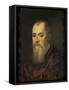 Portrait of a Man with a Red Cloak-Jacopo Tintoretto-Framed Stretched Canvas