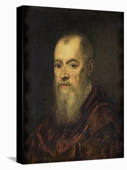 Portrait of a Man with a Red Cloak-Jacopo Tintoretto-Stretched Canvas