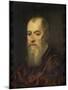 Portrait of a Man with a Red Cloak-Jacopo Tintoretto-Mounted Art Print